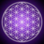 The Concurrent Trust